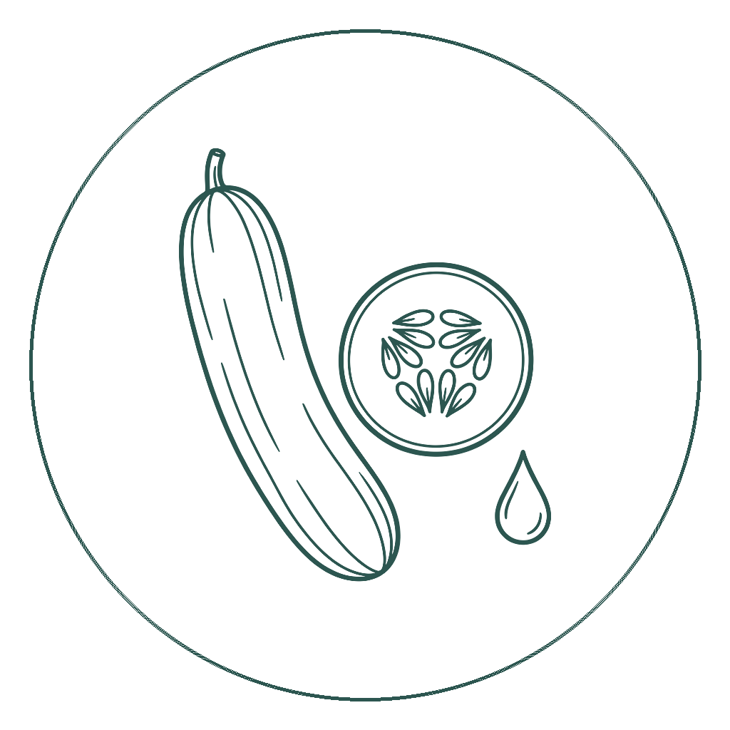 Cucumber Seed Oil